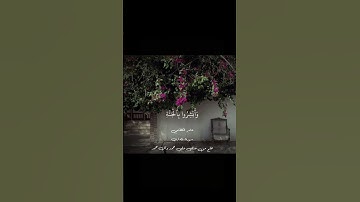 ألا تخافوا ولا تحزنوا ❤️‍🩹✨#قرآن #عامر الكاظمي # سوره فصلت # @Sara_s_7_v