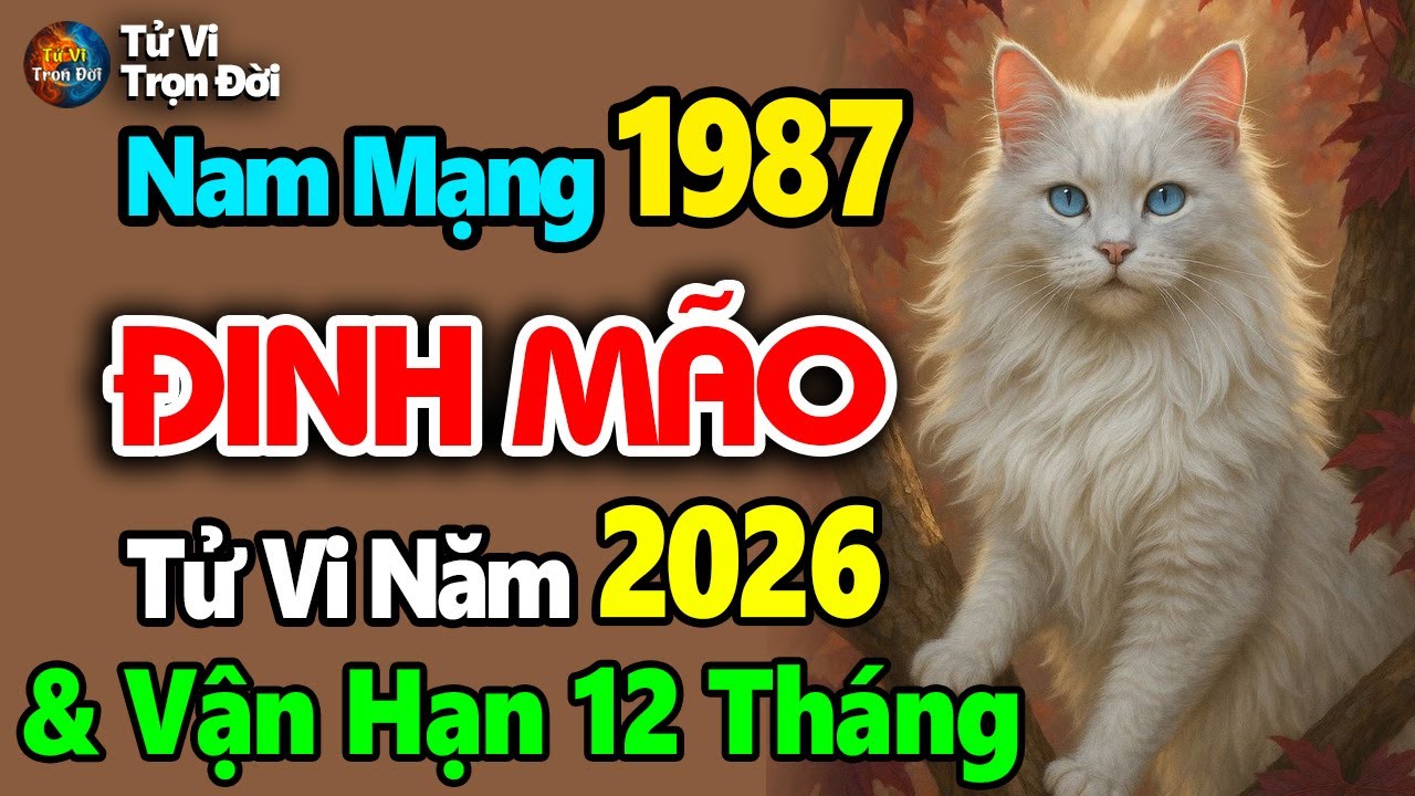 Tử vi Đinh Mão 1987 nam mạng, năm 2026: Gặp vận may bất ngờ, tiền bạc tự tìm đến, tình yêu thăng hoa