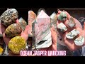 Ocean Jasper Crystal Unboxing, 8th Vein, Old Stock and Sea Jasper!