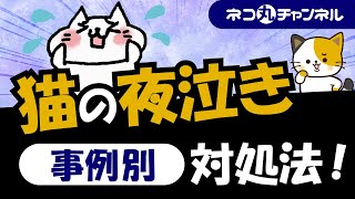 猫の夜泣きを5つのケース別に見た対処法を解説