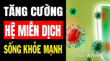 Tăng Cường Hệ Miễn Dịch – Sống Khỏe Mạnh Mỗi Ngày