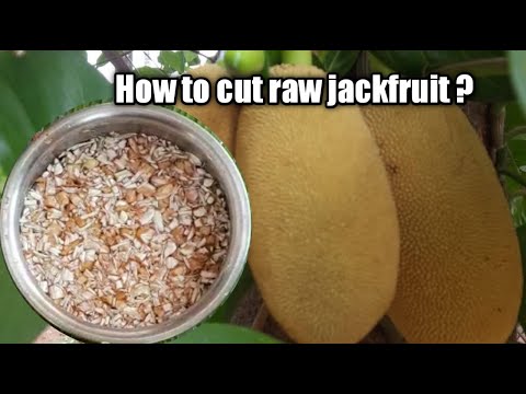 How To Cut Jackfruit For Curry Indian Style