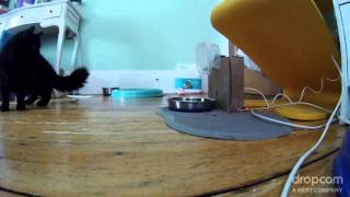 Remote Cat Feeder using Little Bit's Bit Cloud screenshot 5
