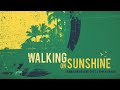 Walking on sunshine reggae version  jamaican reggae cuts