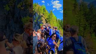 #neuschwanstein #neuschwansteincastle #castle #germany #deutschland #bavaria #travel #reels #explore