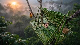 Survival Alone: Building a Bamboo Treehouse in the Wild Forest Survival Alone: Building a Bamboo Treehouse in the Wild Forest