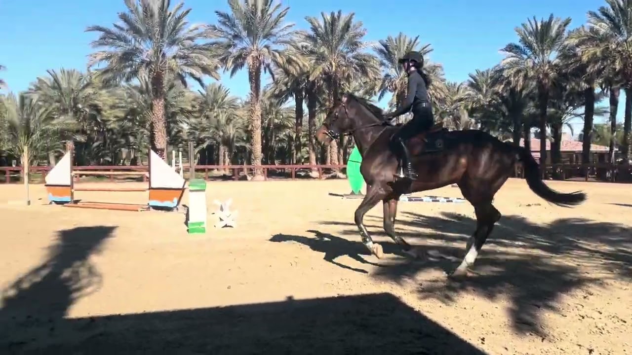 Madeline Luddy &  Diassini  1/13/2026 