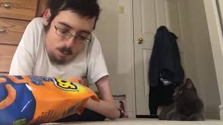 YOU WANT CHEESIES ? - Ricky Berwick