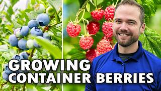 How to Grow Raspberries, Blueberries, and Blackberries in Containers