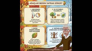 Ağaçlar Neden Yaprak Dökerler Part 2 Ğa Ğaçlar Şfet