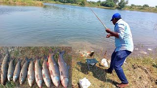 Fishing | Fish Catching Videos | Best Fishing Techniques |Best Hook Fishing Video