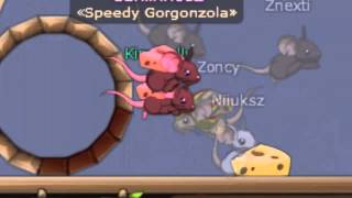 Transformice - Carliinhosz e Kimberlly racing