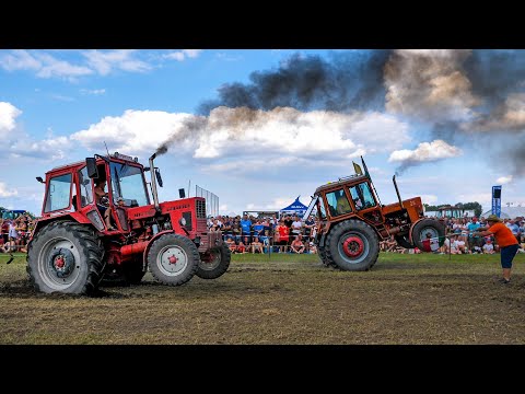 Tractor Pulling 2021 | MTZ 82 Turbo ; 80; 50 | Zákányszéki TraktorShow 2021