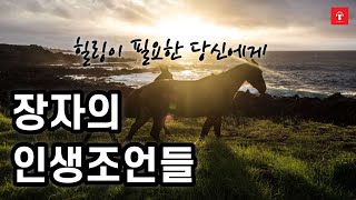 자유로운 삶을 위한 고전 ㅣ장자의 인생 조언들 ㅣ이야기로 쉽게 풀어주는 장자의 사상 ㅣ지칠 때 힘이 되는ㅣ힐링이 필요한 당신에게