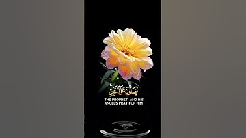 صباح الخير 💛حالات واتس اب مقاطع قصيره💛قران كريم ان الله وملائكته يصلون على النبي💛المنشاوي بدون حقوق