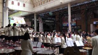 県岐商吹奏楽部「柳ケ瀬ステージ」H26.04.19(宝島 ♪ ) 県岐商吹奏楽部「柳ケ瀬ステージ」H26.04.19(宝島 ♪ )