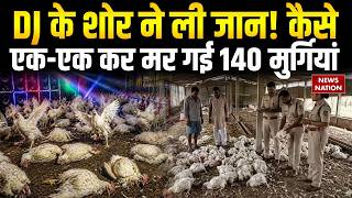 Sultanpur Chicken Deaths: DJ का शोर बन गया 140 मुर्गियों का किलर! जानें इसकी क्या है वजह?