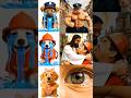 🐾Hero Pups Transformation: the Recycling Pup, the Flying Pup & the Leader #shorts#funny