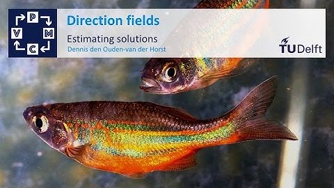 Direction fields and sketching solutions - Mathematical Modelling - Mathematics - TU Delft