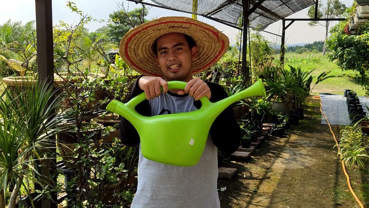 Cara Membaja Dengan Betul Dan Tanaman Seks Tuber Youtube