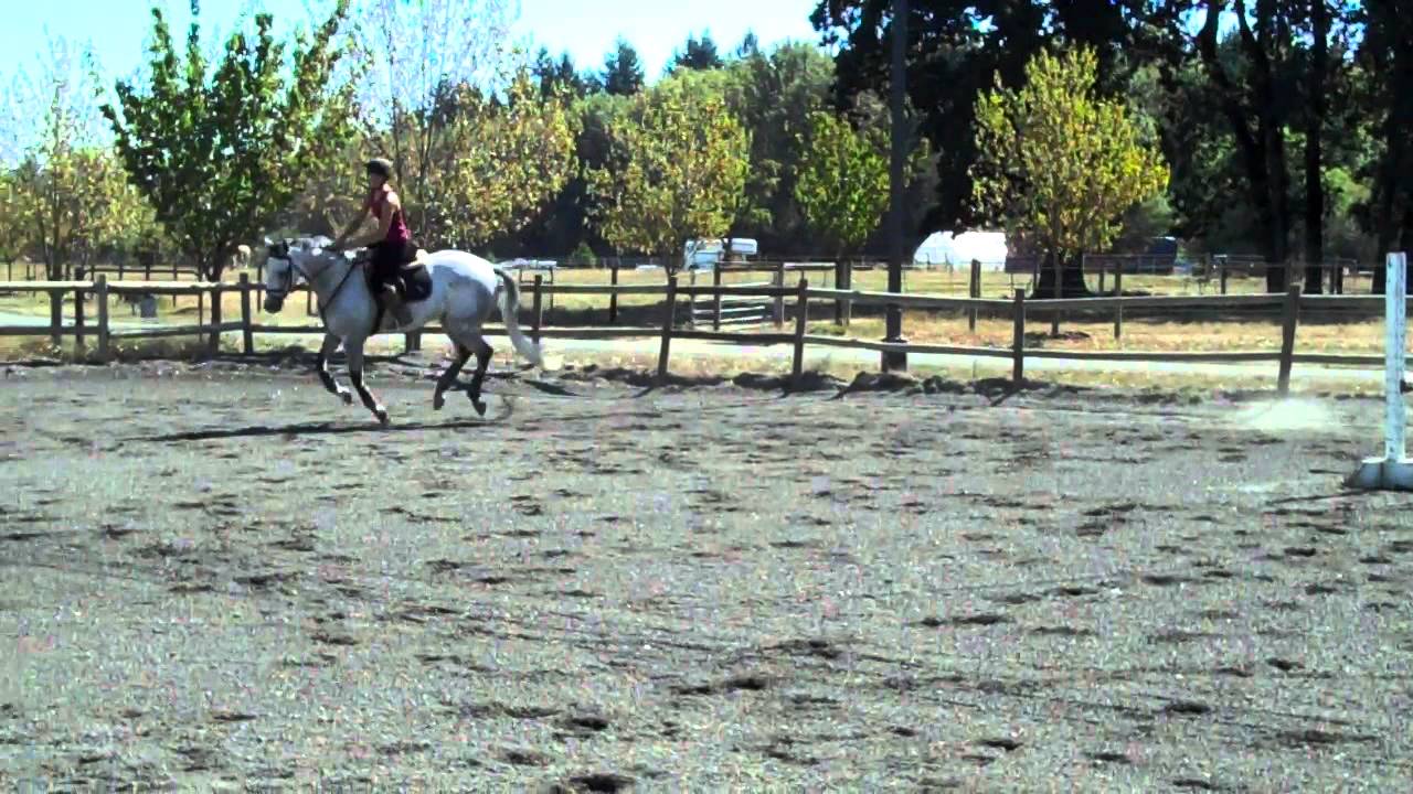 PJ jump over barrel YouTube