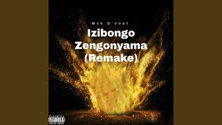 Izibongo Zengonyama (Remake)
