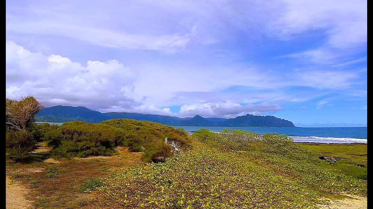 OC1 & SUP to Kapapa Island, Kaneohe Bay, Oahu, Hawaii (GoPro Session
