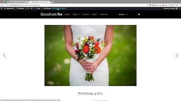 Storefront Pro 3 5   customize individual products