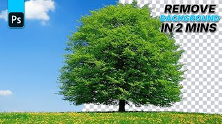 How To Remove a Background IN Photoshop 2025 | Photoshop 2025 Tips and Tricks