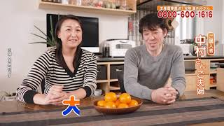 完熟温州みかん＜広告の品＞テレビCM放送中 お試し甘いみかん 生産者
