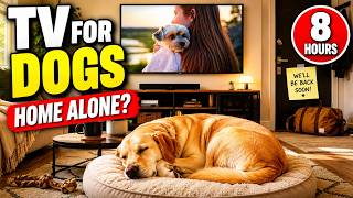 TV for Dogs Home Alone 🐶 8 Hours of Relaxing Music & Dog Videos screenshot 3