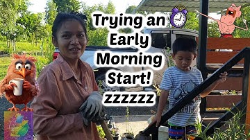 Early Morning Solar Food Forest Life | MTGA 2023