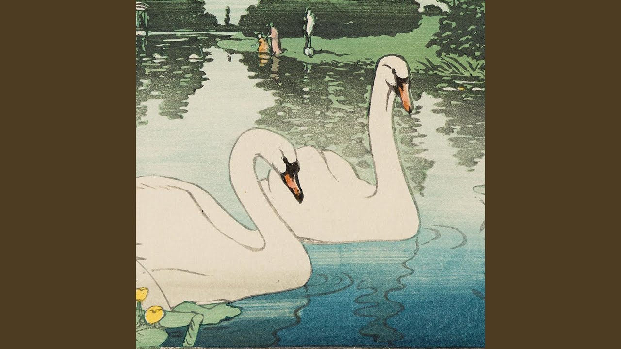 Watch swans on YouTube Watch swans on YouTube