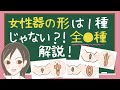 【女性器の違い】女性器は人によって違う？形・構造・大きさを解説！／LCラブコスメ