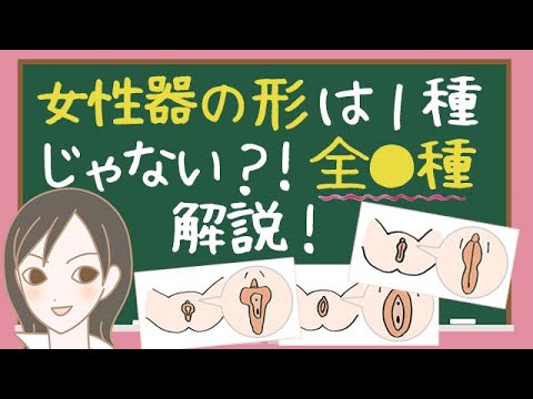 女性器の違い 女性器は人によって違う 形 構造 大きさを解説 Lcラブコスメ Youtube 女性器の違い 女性器は人によって違う 形 構造 大きさを解説 Lcラブコスメ Youtube