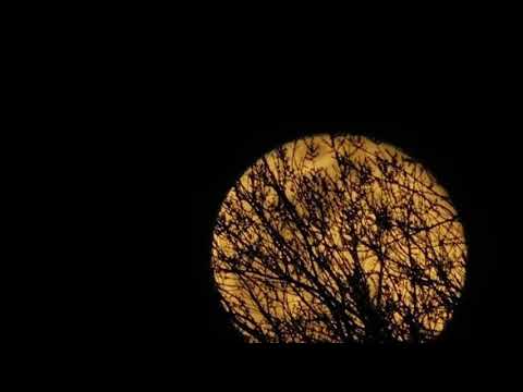 camera iphone 8 plus apk Moon phases