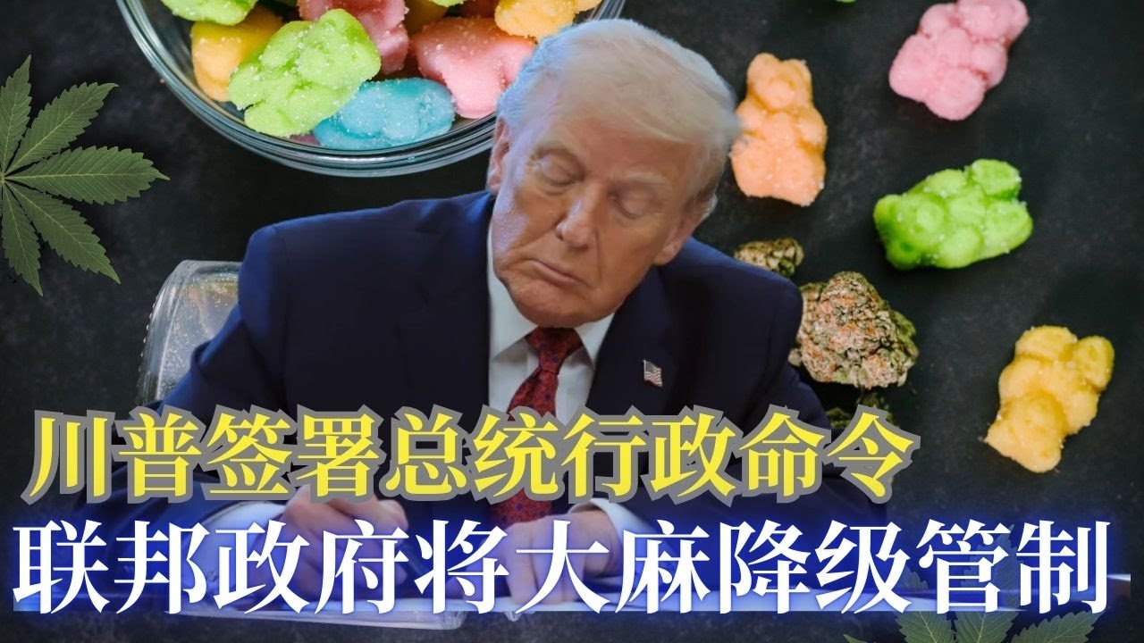 川普签署总统行政命令:联邦政府将大麻降级管制; 加州大麻合法化,  川普大麻降级处理并非联邦大麻合法化!甘迺迪中心更名為川普甘迺迪中心;衛生部限制青少年性別轉換醫療；民主党州议会立法阻止川普驱逐移民 📱
