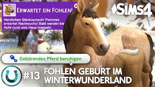 Spannung bis zur FOHLEN Geburt ?? Die Sims 4 Pferderanch Lets Play mit Jonas Klee und Pommes