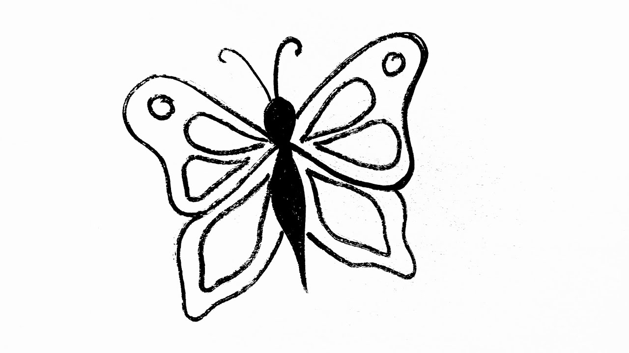 how to draw a butterfly draw so cute 🥰 तितली की चित्र कैसे बनाएं इजी easy drawing tutorial 