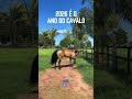 🐎 2026 é oficialmente o Ano do Cavalo!