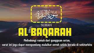 MUROTTAL MERDU SURAH AL BAQARAH | DENGAN SUARA INDAH MEMBUAT HATI TENANG | NGAJI MERDU