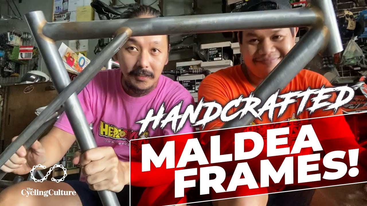 ave maldea frame review