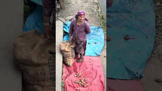 ഇവിടെ മദ്യപിച്ച് ചെന്നാൽ പണി ഉറപ്പ് 🛑🛑 #shortvideo #grahanvillage #kasol #trip