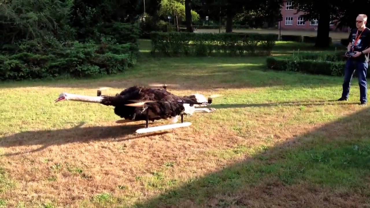 Dramatic OstrichCopter rides into Epic battle
