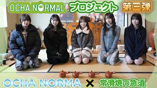 《OCHA NORMALプロジェクト》第三弾 OCHA NORMA ✕ 常滑焼の急須