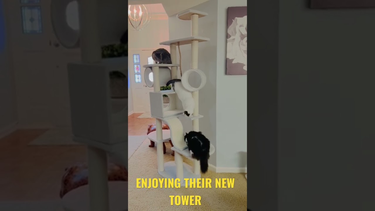 TALL CAT TOWER BY WHISKER 