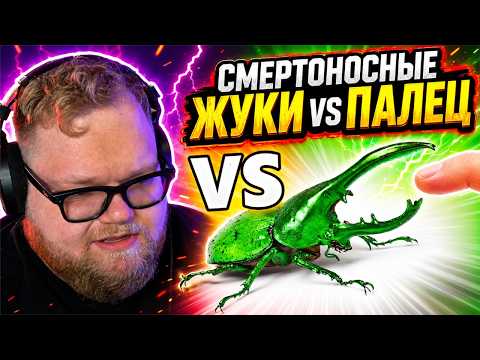 Самые смертоносные насекомые VS палец / РЕАКЦИЯ T2x2