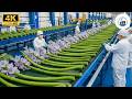 Water Hyacinth To Premium Yoga Mats? Factory's SHOCKING Secret Process! 🌿🔥