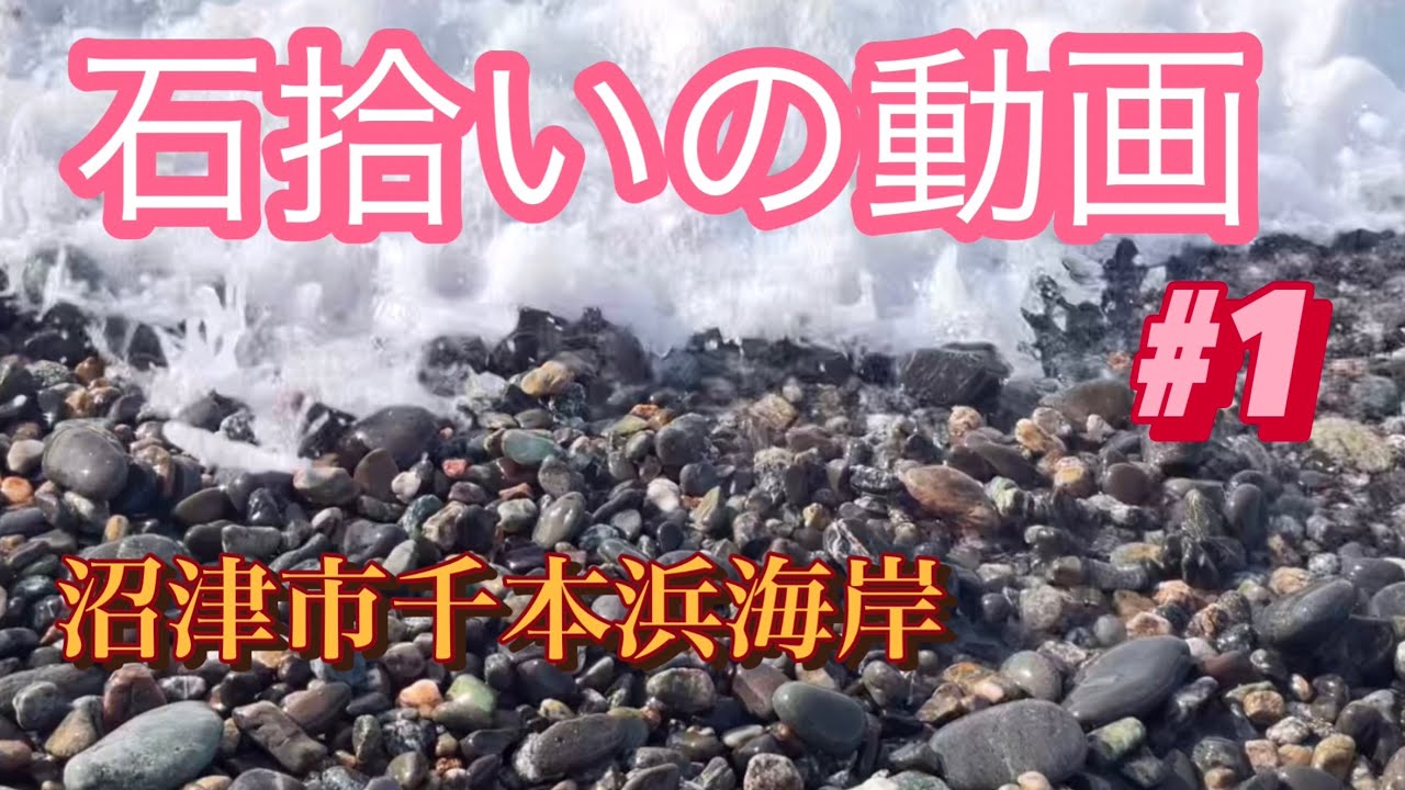 石拾い①静岡県沼津市千本浜