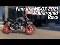 Yamaha MT-07 [2021] START UP / REVS / WALKAROUND